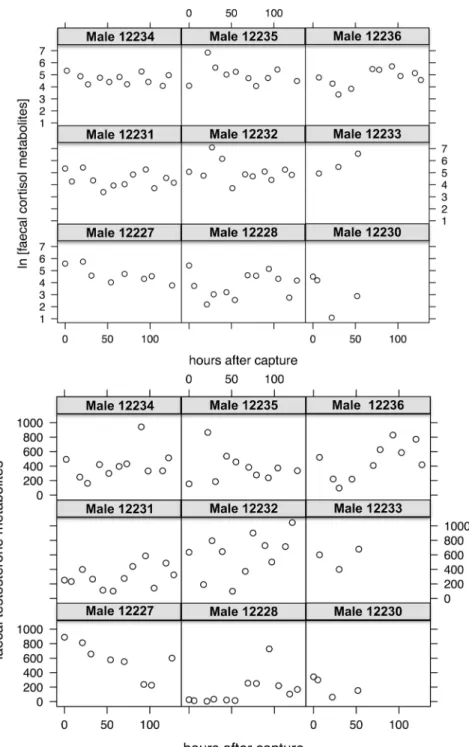 Fig 3. Faecal hormonal metabolites in male ibex after capture. Variation of the values of faecal cortisol metabolites (A) and faecal testosterone metabolites (B) for each sampled male Alpine ibex in the Gran Paradiso National Park (Italy) as a function of 