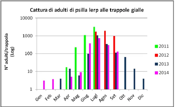 Fig. 19 - Cattura mensile di adulti di G. brimblecombei alle trappole gialle  