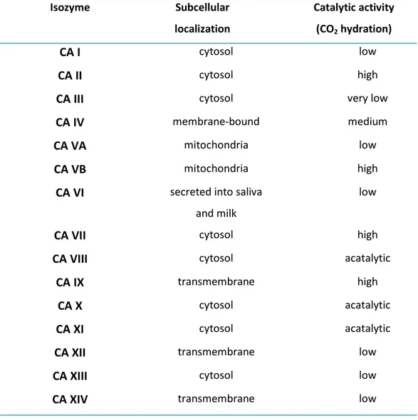 Table 3 Sites of expression of hCAs.