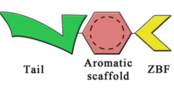 Fig. 5 General structure of CAIs.