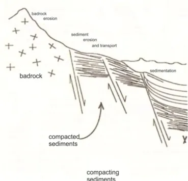 Figure  2.1  Passive  continental  margin  sedimentation  setting  where  source  area  and sedimentation are linked (Velde, 1995)