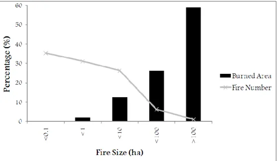 Figura 3: Incidenza del numero e delle superfici percorse da incendio, suddivise per classi  dimensionali (periodo di esame 1995-2009, da Giugno a Settembre) (Fonte: Salis, 2001) 