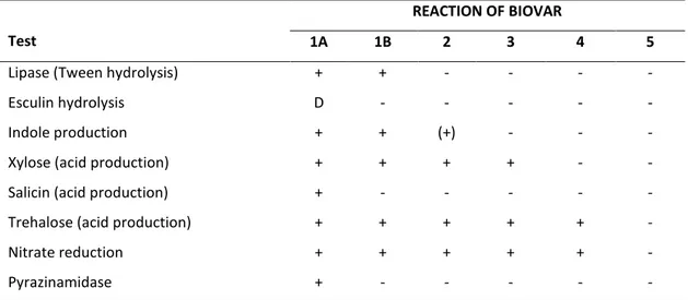 Table 3 – Biotyping scheme of Y. enterocolitica