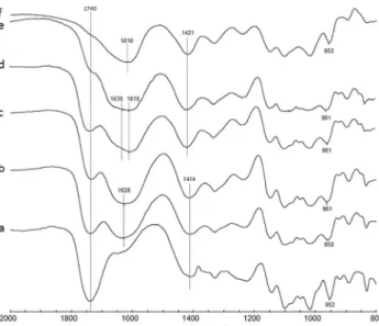 Fig 9. FT-IR spectra of HPGA (a), V(IV)-PGA systems at pH 3.0 (b), 4.0 (c), 5.0 (d) and 6.0 (e), and Na- Na-PGA (f).