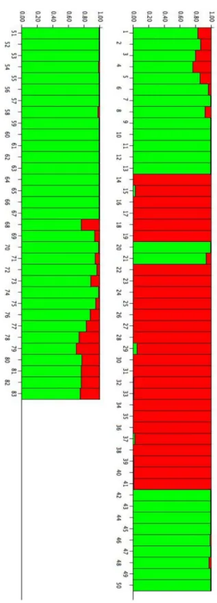 Fig 2. Bar plot of estimated membership probability ( Q) for K = 2 for the HpaII data of Sardinian white poplars