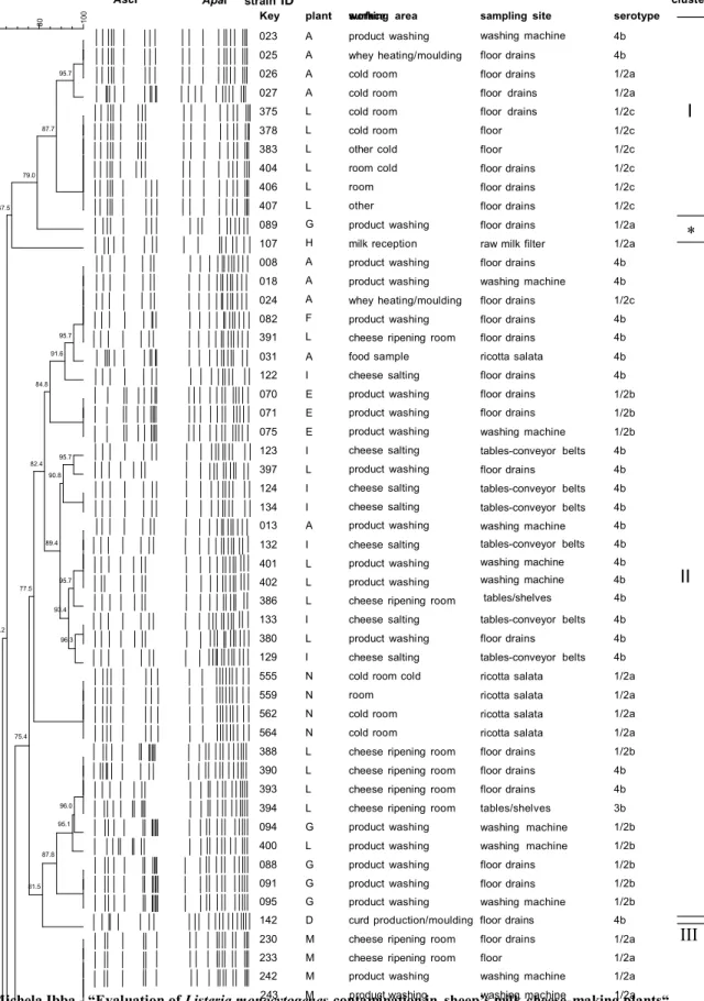 Figure 4.1 PFGE profile comparison conducted on a selection of 104 strains isolated  from different cheese-making plants