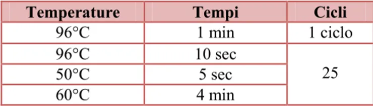 Tabella n.10 – programma di sequenziamento (tempo/temperatura) 
