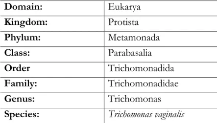 Table I.1 - Classification of T.vaginalis. 