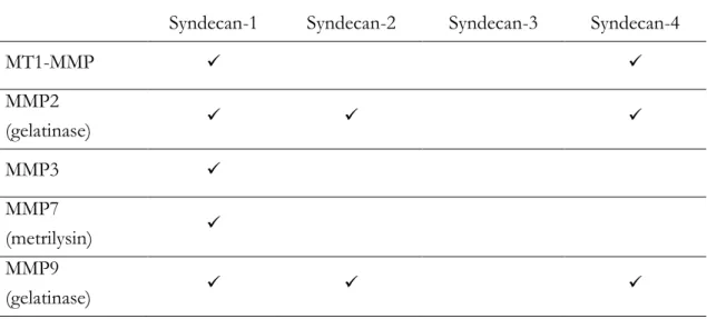 Table II.2 - List of MMPs involved in syndecan cleavage in vitro and in vivo.  