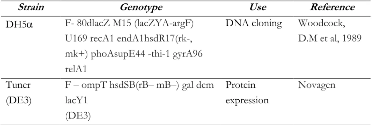 Table II.3 - Bacterial strain used in this study 