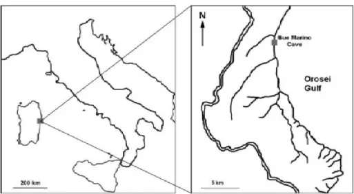Figure  1.  Bue  Marino  Cave  (E-Sardinia)  in  the  Orosei  Gulf  karstic  region  (Central  Tyrrhenian Sea, Western Mediterranean)