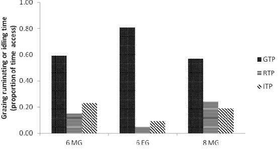 Figure 14. The effect of the timing at pasture in dairy cows grazing 8 h/d from 8 to 16 (8 MG), or for 3  x 2 h/d either during morning (6 MG) or evening hours (6 EG) on the time devoted to grazing (GTP),  ruminating (RTP) and idling (ITP), (Mattiauda et a