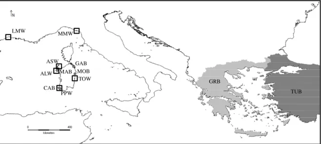 Fig. 1 Sampling map of Sparus aurata. Grey dots indicate the location of the Sardinian  farms  from  which  farmed  specimens  were  collected