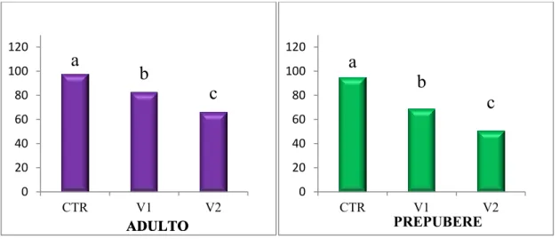 Fig.  4.2:  Sopravvivenza  degli  ovociti  immaturi  di  pecora  adulta  e  prepubere  dopo  vitrificazione con due differenti sistemi (gruppi V1 e V2) e maturazione in vitro, (a vs b vs c,  P&lt;0,05, test del χ 2 )