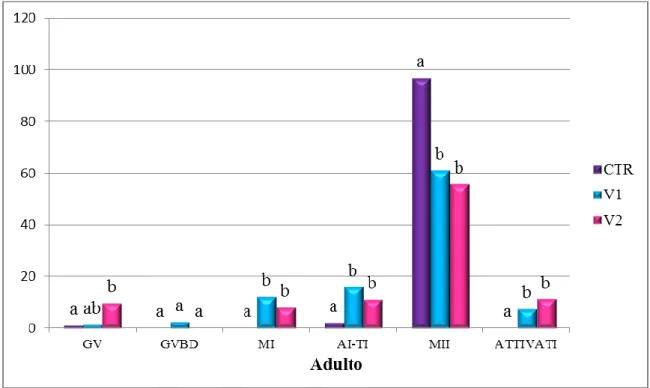 Fig. 4.3: Progressione meiotica degli ovociti di pecora adulta in seguito a vitrificazione con  metodo V1 e V2 e maturazione in vitro