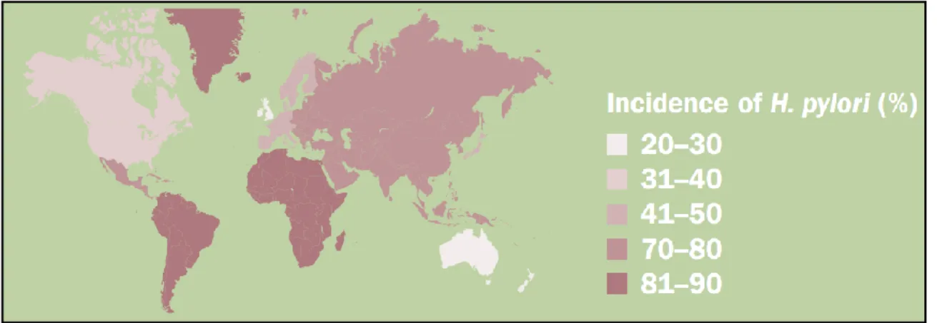Figure 1.1. Worldwide epidemiology of H. pylori infection [16]. 