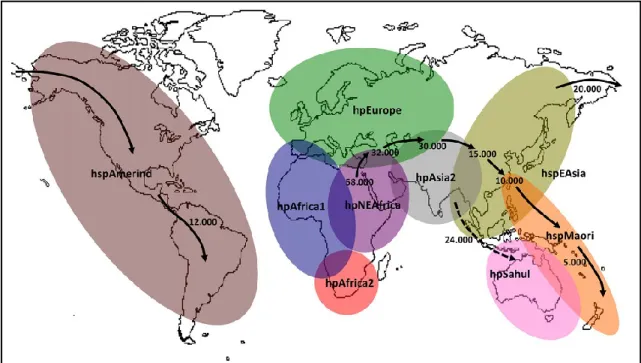 Figure 1.2. Geographic distribution of Helicobacter pylori populations and   predicted traces of prehistoric human migration [29] 