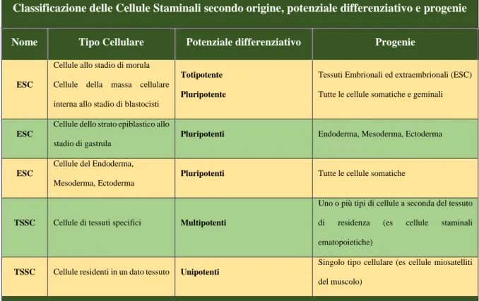 Tabella 1: Classificazione delle Cellule Staminali secondo origine, potenziale differenziativo e progenie