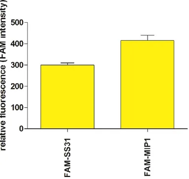 Fig. 11. FAM relative fluorescence intensity 