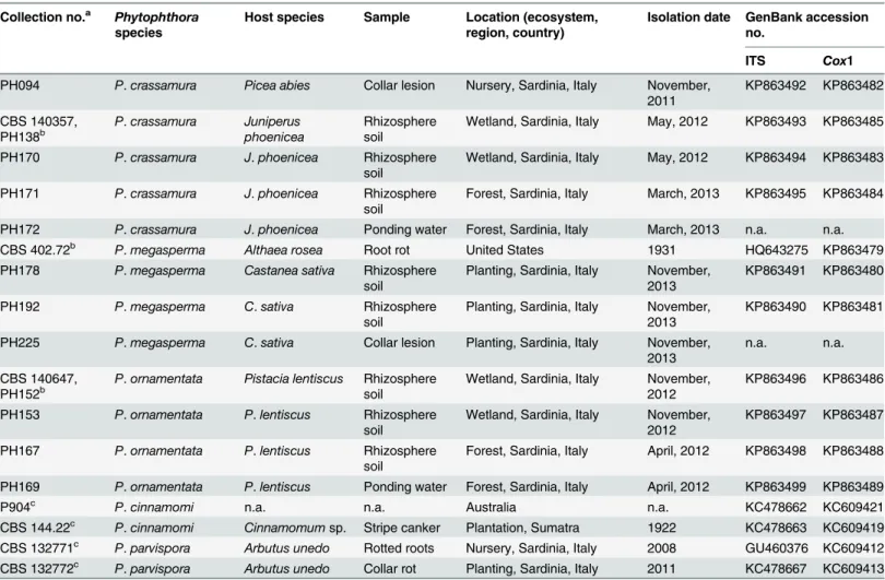 Table 1. Identity, host, location, isolation date and GenBank accession numbers for Phytophthora isolates used for morphological, physiological and phylogenetic analyses in this study