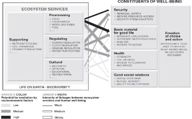 Fig. 2.1. Classificazione degli Ecosystem Services secondo il Millennium Ecosystem Assessment (2005)