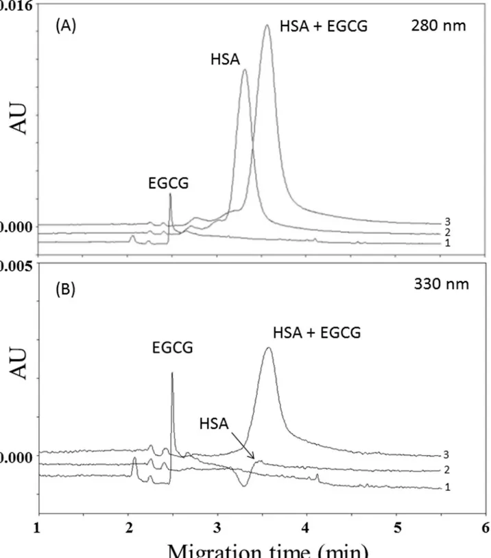 Fig 1. Electropherograms of (1) 0.5 mmol/L EGCG, (2) 0.750 mmol/L human serum albumin (HSA) and (3) mix of 0.5 mmol/L EGCG and 0.750 mmol/
