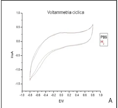 Fig. 10A  CV in PBS +H 2  del microsensore in epoxy/CNT. 