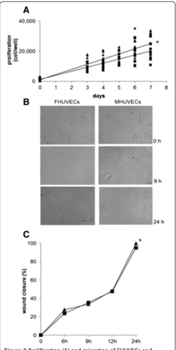 Figure 2 Proliferation (A) and migration of FHUVECs and MHUVECs (B, C). Linear regression analysis (A) of the proliferation of FHUVECs ( ▲, n = 10) and MHUVECs (▄, n = 7)