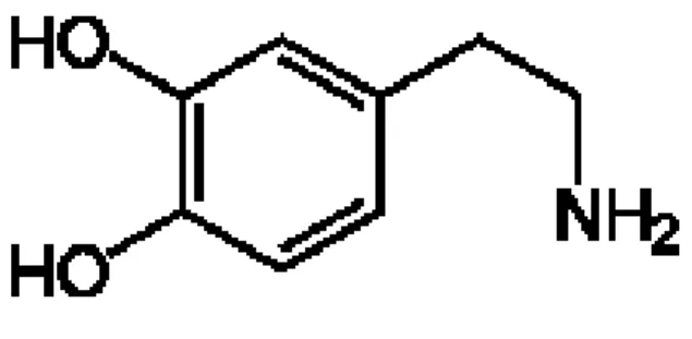 Figura 1: Dopamina 