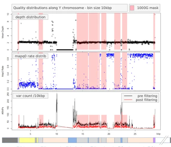 Figure 4.3: Distribution of depth, mapping quality, and number of variants pre and post filtering along Y chromosome