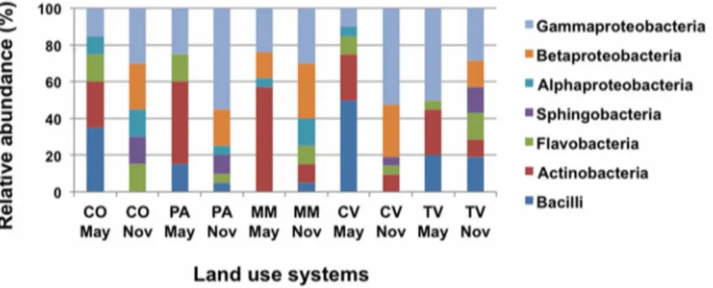 Figure 5. Relative abundances of major taxonomic groups across land use systems in spring and autumn