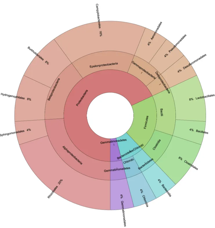 Figure 6. Plot of the taxonomic composition of total bacterial community as inferred from taxonomic interpretation of T-RFLP profiles.