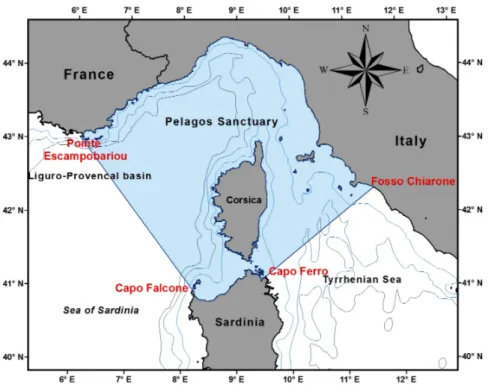 Fig. 1 The Pelagos Sanctuary area. Sardinia has more than 270 km of  coastline within the area of the Sanctuary  
