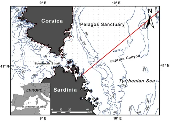 Fig. 1  Study area of pelagic cetaceans and bathymetry of the Caprera  Canyon, off North-eastern Sardinia