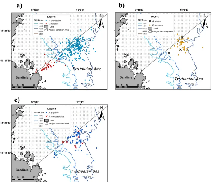 Fig. 6 Distribution of striped and bottlenose dolphin (a); Risso’s dolphins and Cuvier’s beaked whale (b); fin  and sperm whale (c) over the study area during the entire period (2011-2013)