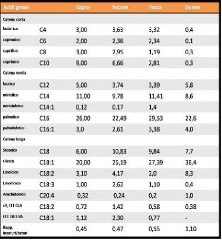 Tabella  1.  Composizione  acidica  del  grasso  (%)  in  diverse  specie  animali.  (McGuire  et  al.,  1997;  Nudda  et  al.,  2003;  Secchiari  et  al.,  2003,  modificato)