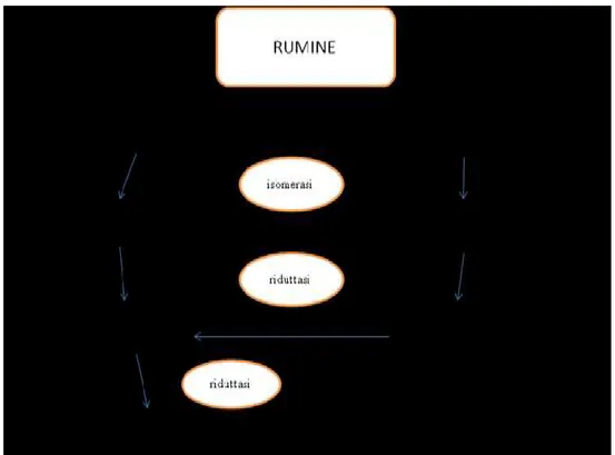 Figura 1. Idrogenazione nel rumine degli acidi grassi a catena lunga. 