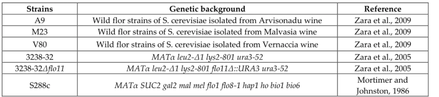 TABLE 1 Saccharomyces cerevisiae strains used in this study. 