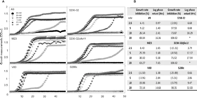 FIG 2 L-histidine affects the growth of different S.cerevisiae strains in YPD rich medium