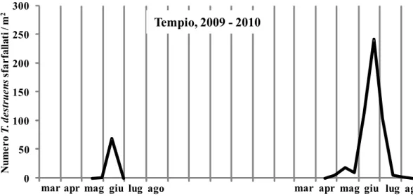 Figura 3 – Numero medio di adulti di T. destruens sfarfallati per m 2  di tronco (Tempio, 2009-2010)