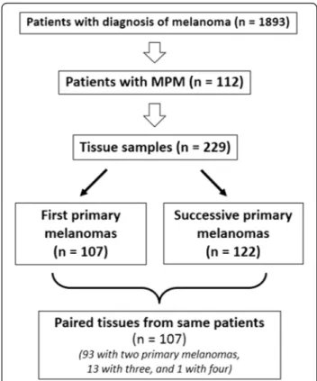 Figure 1 Patients and samples included into the study.