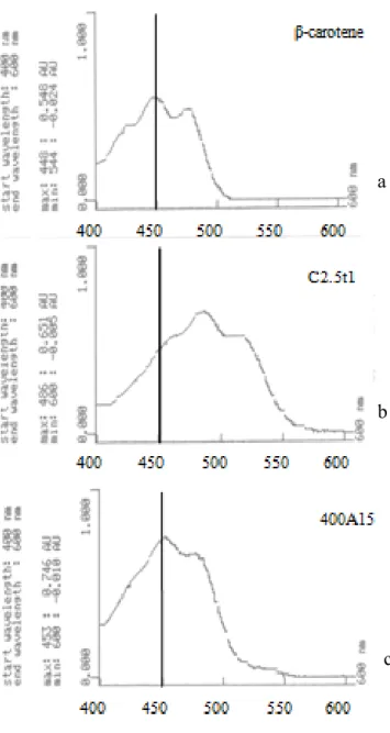 Figura 5. Analisi della composizione dei pigmenti. Scansione degli estratti a lunghezze  d’onda comprese tra 400 e 600 nm 