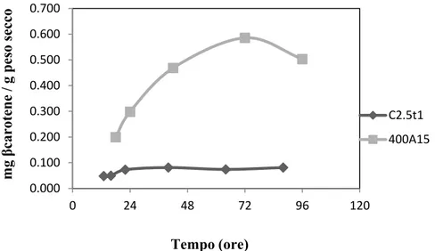 Figura  6.  Quantificazione  via  HPLC  del    β-carotene  nel  parentale  C2.5t1  e  nel  mutante  400A15