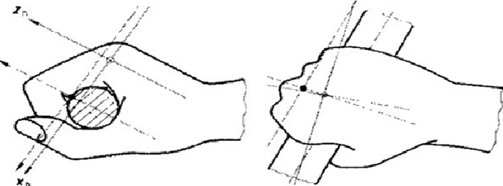 Figura 28. Posizione  &#34;Flat  palm&#34;, (in  questa  posizione  la  mano preme  verso il basso su una sfera&#34;.