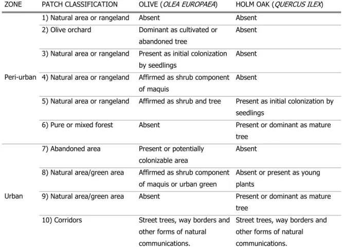 Tab. 1 Possible classification of land plots to support the patches and corridors establishment  Both Olive and Holm oak are widely used in the urban and peri-urban green areas both artificial (gardens  and street trees) or natural (abandoned orchards, par