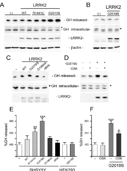 Figure 21. Effect of LRRK2 expression on released GH from neuronal and non-neuronal cells