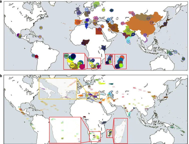 Figure 2 | Geographic origin of worldwide populations. (a) Small coloured circles with a matching colour to geographical regions represent the 54 reference points used for GPS predictions