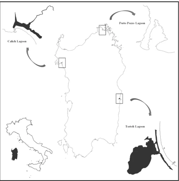 Figure 1. Geographical locations of the three mussels rearing sites.