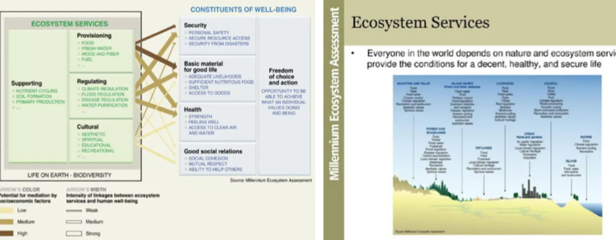 Figure 13. Classification and identification of the main ecosystem services of biomes (from Millenium Ecosystem Assessment   Synthesis 2005).