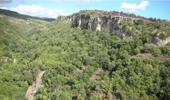 Figura 2. Paesaggio naturale del territorio di Caccuri (foto S. Foresta, 2015).